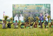 Panen Uji Adaptasi Galur Padi Sawah, Pemrov Kalsel Berharap Kalsel Jadi Lumbung Padi Nasional