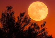 Supermoon Bakal Muncul di Tanah Air Pukul 17.40 WIB, Tak Perlu Alat Bantu untuk Melihat