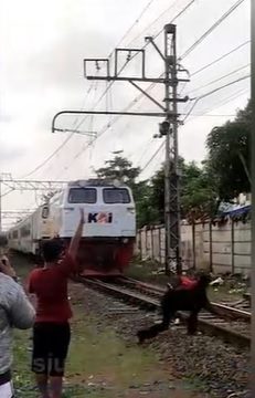 Warga Kegat! Aksi Bunuh Diri Seorang Pria, Tiba-tiba Saja Tiduran di Rel Senen dan Terlindas