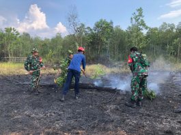 Lahan Seluas 150 Meter Persegi di Lingkar Selatan Gambut Dilalap Api