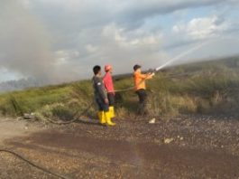 Warga Kusan Tengah Panik Karhutla Dekati Permukiman, 20 Ha Lahan Terbakar