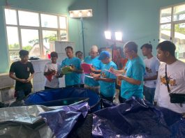 Warga Binaan Lapas Narkotika Karang Intan Sabet Juara Lomba Ikan Koi Kabupaten Banjar