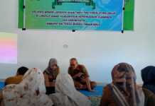 Ada Aplikasi Balanja di Pemkab Tanah Bumbu, Ini Kegunaannya