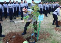 Polri Target Tanam 1 Juta Bibit Pohon di Seluruh Indonesia