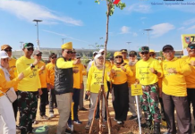 Paman Birin Hijaukan Kawasan Bandara Syamsudin Noor dengan Ribuan Bibit Pohon