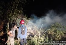 DPKP Banjar Kerahkan Fire Truk 102 Padamkan Kebakaran Lahan di Jalan Tahura Sultan Adam Mandiangin