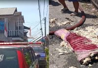 Kelayan A Gang 12 Nyaris Digoyang Api, Ini yang Terbakar