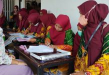 Dinkes Kota Banjarmasin Gelar Workshop Posyandu, Libatkan 60 Kader Perwakilan Kelurahan