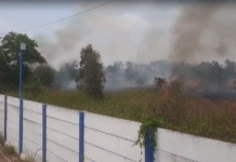 Terminal Gambut Barakat Dikepung Kebakaran Lahan, Hanya Beberapa Meter dari Tembok