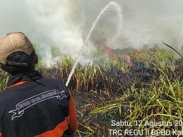 Karhutla Terjadi Bersamaan di Desa Cintapuri dan Desa Penggalaman, Tim Gabungan BPBD Banjar Sigap Beraksi