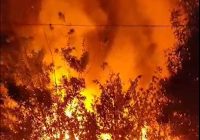 Rumah Warga di Desa Bi'ih Luluh Lantak Diamuk Api