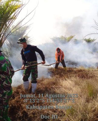 Tim BPBD Banjar Berjibaku Padamkan Karhutla di Desa Alalak Padang dan Pejambuan