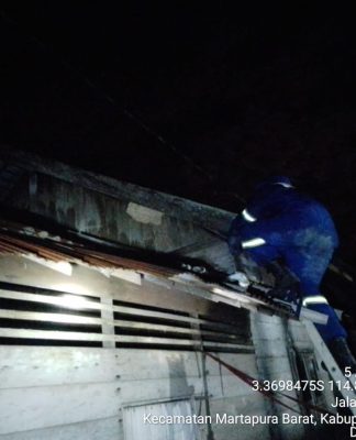 Lagi Sarang Tawon Vespa di Jalan Martapura Lama Resahkan Warga