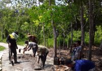 Warga Baruh Ulin Haur Batu Balangan Gotong Royong Perbaiki Jalan