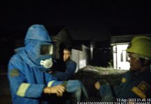 DPKP Evakuasi Sarang Tawon di Cindai Alus Martapura