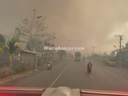 BREAKING NEWS Kebakaran Lahan Terjadi di Pengayuan Banjarbaru