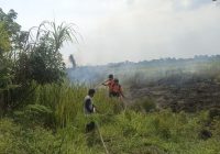 Data Karhutla di Desa Cindai Alus Martapura