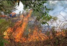 1 Hektare Lahan Terbakar di Desa Padang Panjang