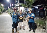Anak Anjing yang Kerap Kejar Anak-Anak Dievakuasi DPKP Banjar