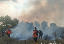 Karhutla di Depan Makam Datuk Bagul  Desa Sungai Batang Hanguskan 20 Hektare Lahan