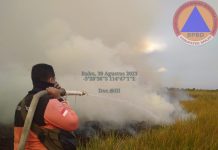 2 Hektare Lahan Terbakar di Sungai Rangas Kabupaten Banjar