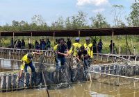 Festival Mancing Paman Birin Cup Ramaikan HUT Provinsi Kalsel ke-73