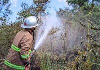 Darurat Karhutla, BPBD Kalsel Sebut Lahan Terbakar Capai 1.000 Ha, Jarak Pandang Cuma 50 M