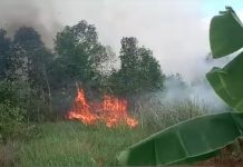 Karhutla Hanguskan Lahan di Pengayuan Banjarbaru