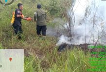 Kebakaran Lahan Terjadi di 2 Desa di Balangan, Hanguskan 3 Hektare Lahan