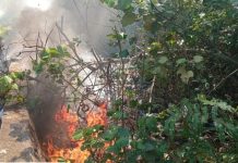 Lahan Terbakar di Banua Anyar Banjarmasin Gara-Gara Sampah
