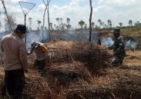 Kebakaran Lahan di Cintapuri Darussalam