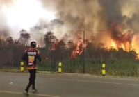 Gubernur Kalsel Soroti Kawasan Liang Anggang yang Dilanda Karhutla Setiap Tahun
