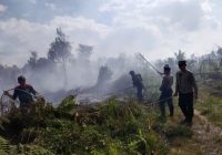 Sebanyak 15 Hektare Lahan Terbakar di Baamang Kotim