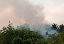 BPBD : 33 Titik Kebakaran Lahan di Kota Banjarmasin Selama 4 Bulan
