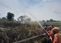Perlu 2 Jam BPBD Padamkan Kebakaran Lahan di Jalan Padat Karya Sungai Andai