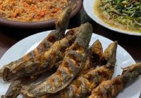 Viral Ikan Lele Mengandung 3.000 Sel Kanker, Cek Fakta