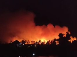Api Berkobar di Lahan Jalan Gubernur Syarkawi, Satu Bangunan Ikut Terbakar