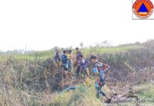 Kebakaran Lahan di Desa Pantai HSS Hanguskan Hampir 1 Hektare