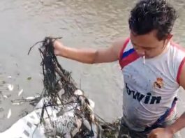 Warga Desa Kayu Rabah HST Panen Ikan Sampai Satu Karung
