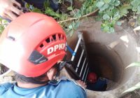 Petugas DPKP Banjar Evakuasi Ular dari Dalam Sumur Warga Bincau