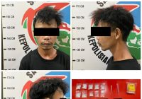 Buruh Harian Lepas Simpan 10 Paket Sabu Dalam Rumahnya di Angsana
