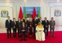 BUMN Listrik Tanzania TANESCO Adopsi Bisnis PLN, Teken Kerjasama Disaksikan Presiden Jokowi