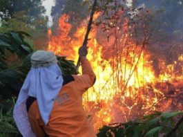Selama 3 Jam Pasukan BPBD Tanah Bumbu Berjibaku Padamkan Karhutla, Polisi Turun Tangan