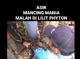 Viral! Pemancing Hampir Celaka Dililit Piton, Diduga Terjadi di Kalsel