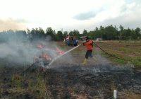 Dalam Sehari Lima Kebakaran Lahan Mengamuk di Kabupaten Banjar