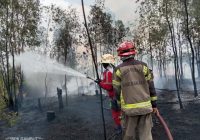 3 Jam Karhutla Dekat Terminal Gambut Barakat Km 17, Segini Lahan yang Hangus Terbakar