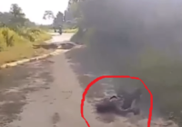 Bocah Katingan Kalteng Dicekoki Temannya Arak Madu, Sempoyongan Hingga Masuk Semak