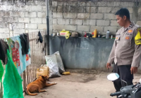 Anjing Dibiarkan Berkeliaran Bikin Resah Warga Guntung Manggis, Polisi Datangi Pemilik