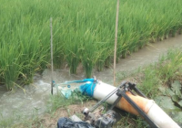 Gerakan Pengairan Sawah, Cara DKPP Tanbu Bantu Petani Atasi Kekeringan