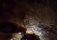 BREAKING NEWS: Penemuan Mayat dengan kondisi Mengering di Bumi Makmur Tanah Laut